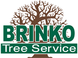 Brinko Tree Service - Pittsburgh - We CUT the DANGER out of trees!